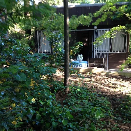Tiny House In A Wood Like Environment Chaletu *